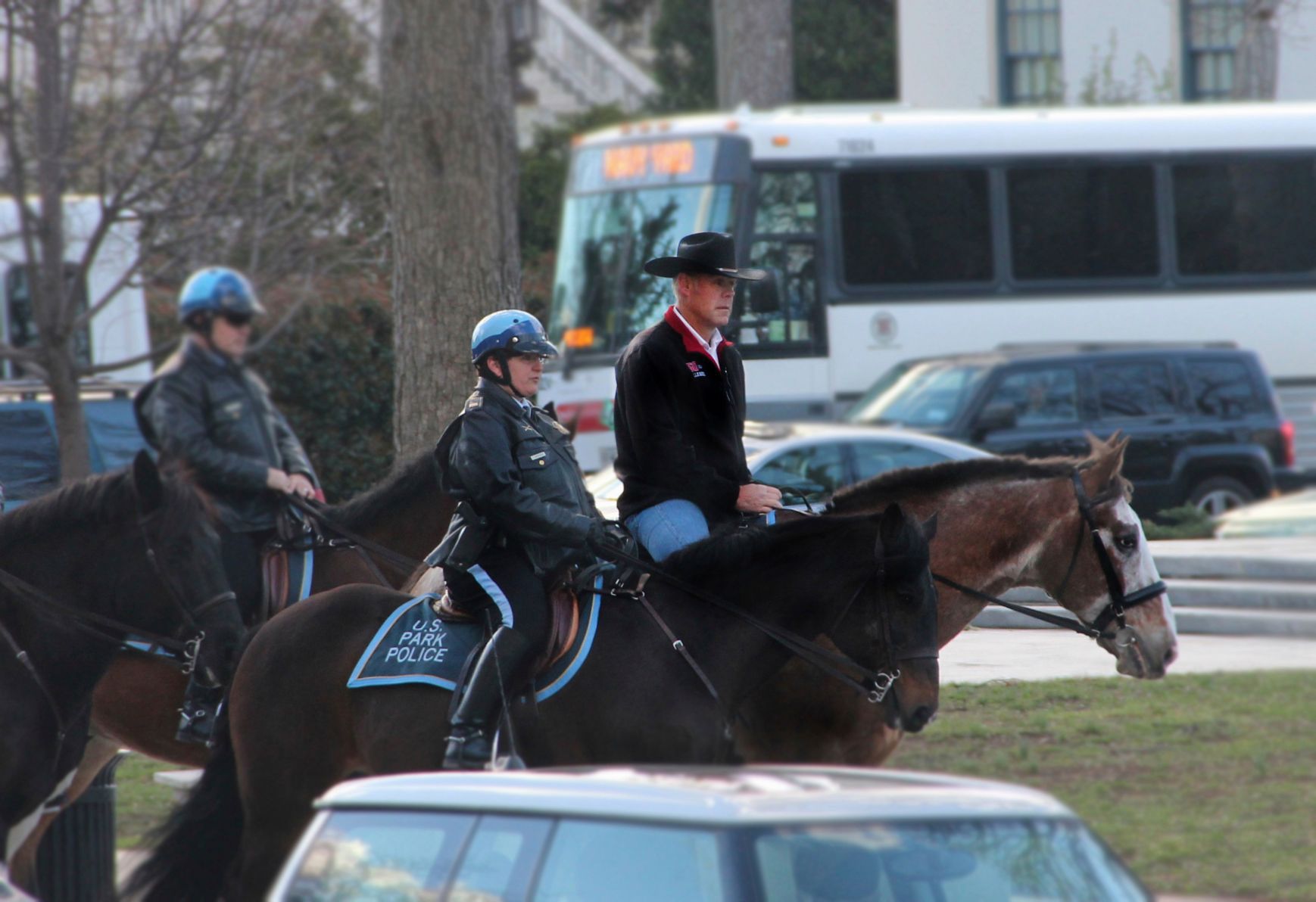 Zinke Horse